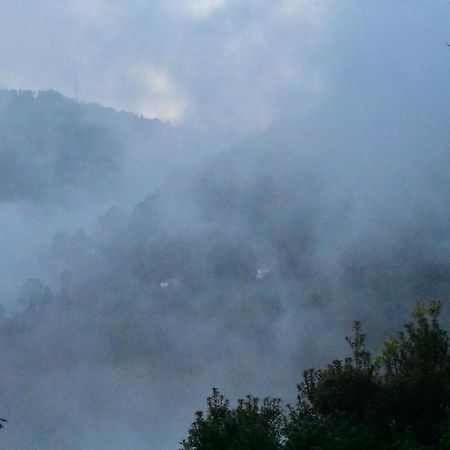 Hotel Bagar Trails Nainital Exterior foto