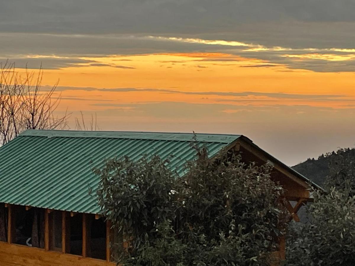 Hotel Bagar Trails Nainital Exterior foto